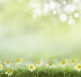 Bokeh Flowers In Sunshine Spring Background Photography Backdrop Shopbackdrop